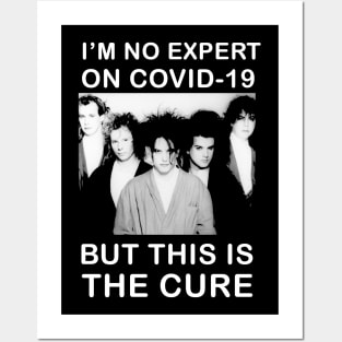 I'm No Expert On Covid-19, But This Is The Cure Posters and Art